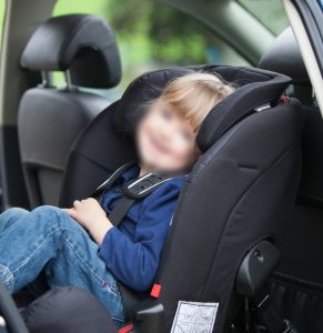 Axkid Duofix car seat rental - Image 2